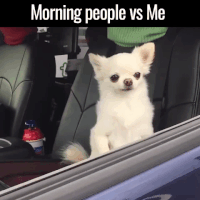 Morning Person GIF