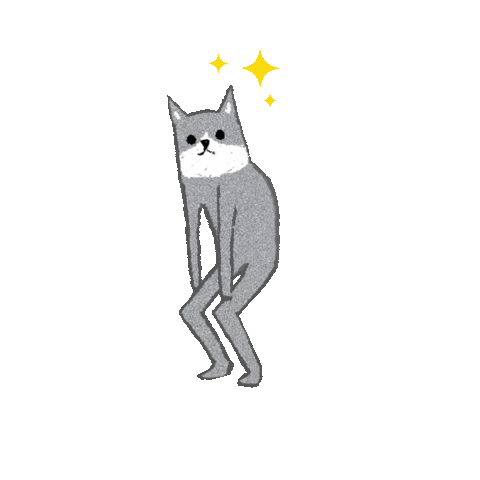 animated gif dancing cat