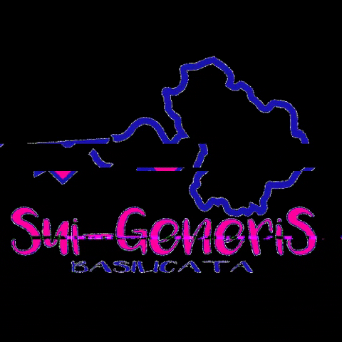 Suigeneris GIF by ESN Basilicata
