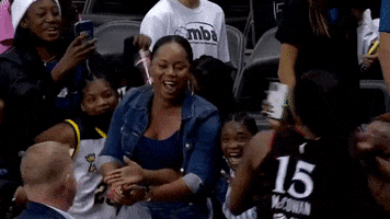 Happy Lets Go GIF by Indiana Fever