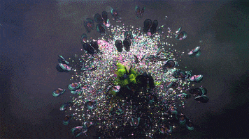 party color GIF by Woodblock