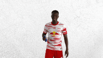 Red Bull Smile GIF by RB Leipzig