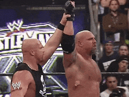 Steve Austin Wrestling GIF by WWE