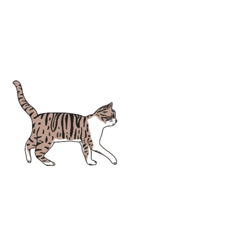 KeepItCuriousPodcast GIF