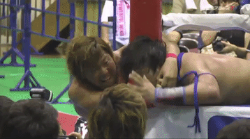 Pro Wrestling GIF