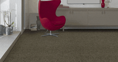VPCG Exim GIF
