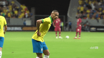 Selecao Richarlison GIF by Confederação Brasileira de Futebol