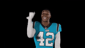 Happy Lets Go GIF by Carolina Panthers
