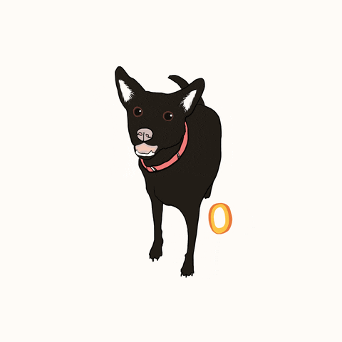 Dog GIF