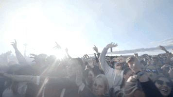 nimapirzadeh festival stockholm goteborg summerburst GIF