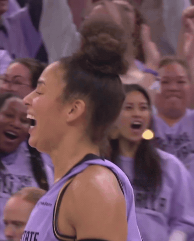 Womens Basketball Wnba GIF