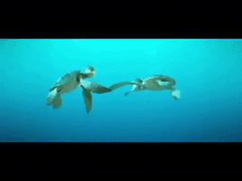 Dame Tu Mano Hug GIF