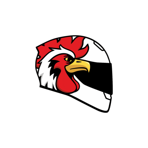 Logo Torun Sticker by RRmoto