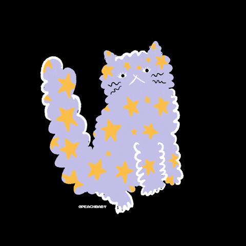Cat GIF