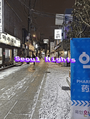 Seoul Nights GIF