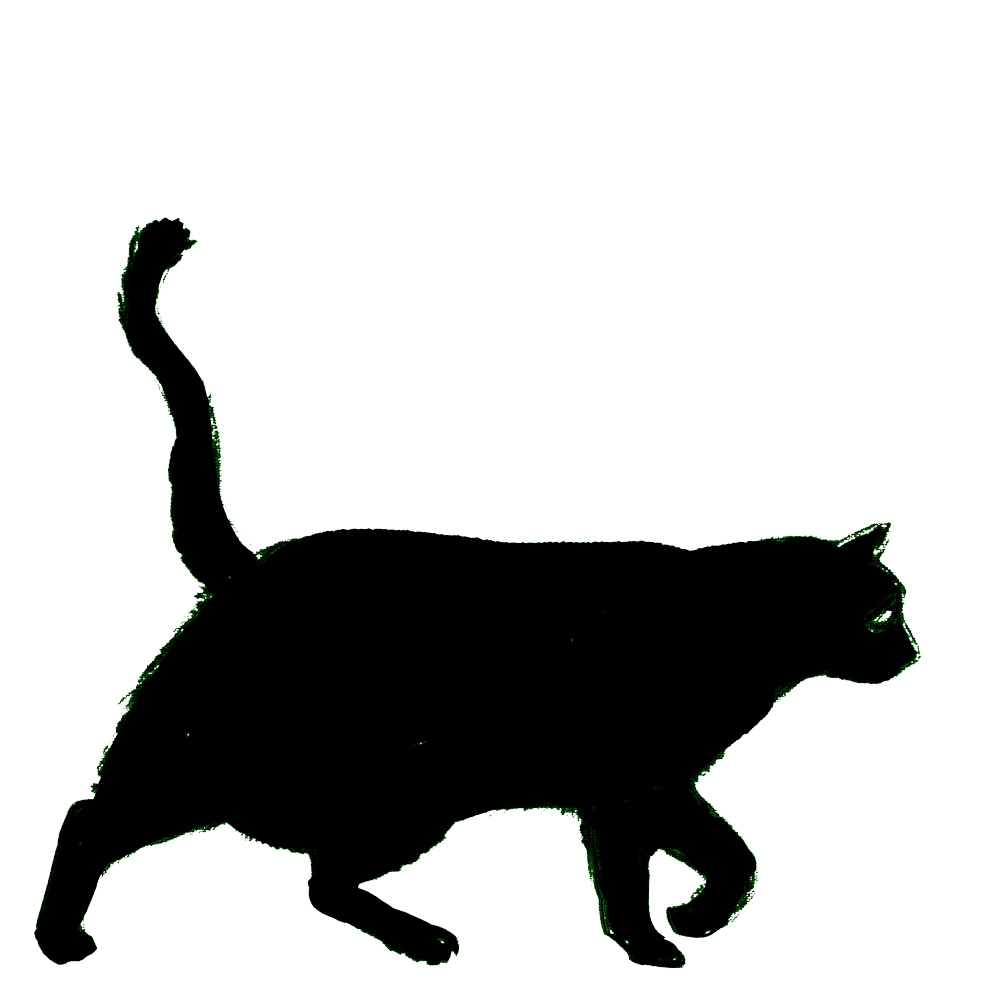 Animated Black Cat Gif Transparent Cuteanimals