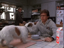 go away GIF by MANGOTEETH