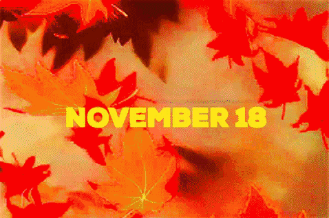 18 november 18