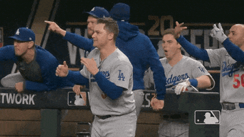 Screaming Major League Baseball GIF by MLB