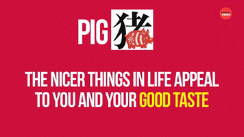 Chinese Pig GIF by BuzzFeed