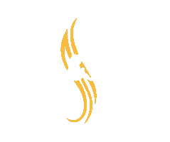 Lordsandladies Sticker by LLSalons