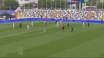Goal Nero GIF by Pordenone Calcio