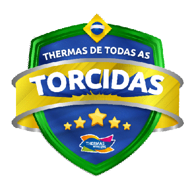 Copa Do Mundo Football Sticker by Thermas Water Park