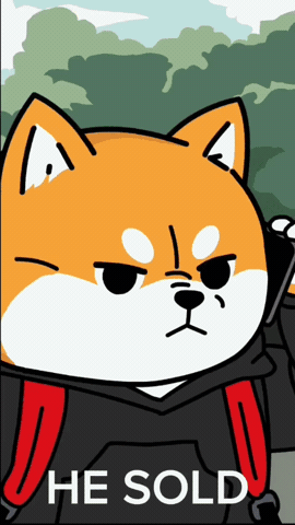 sagasu 探す GIF