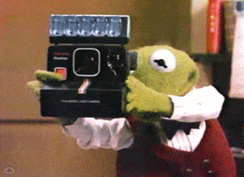 Kermit The Frog Smile GIF by Muppet Wiki