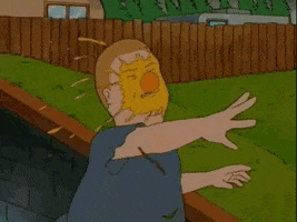 fail king of the hill GIF
