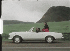GIF by The Marias