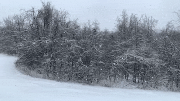 Snow GIF