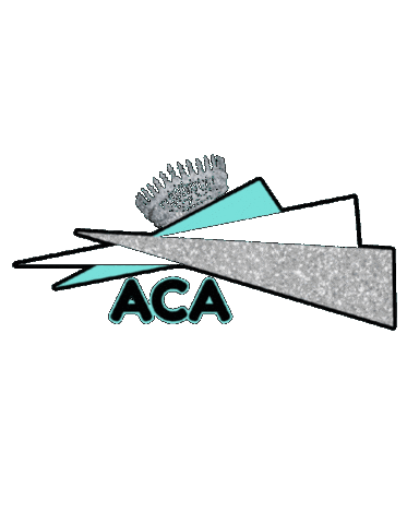 Aca Pageantqueen Sticker by Eskew Consulting
