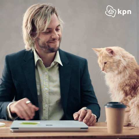 Happy Cat GIF by KPN