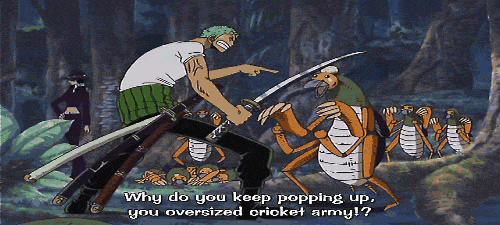 roronoa zoro