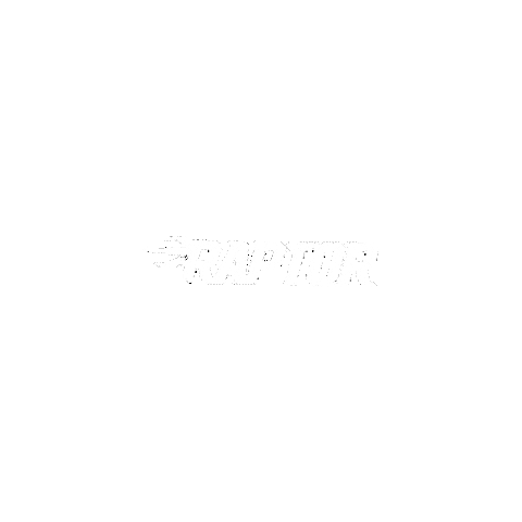 Floorball Raptor Sticker by Salming Czech