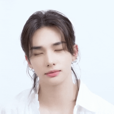 Stray Kids Skz GIF