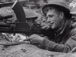 War Love GIF