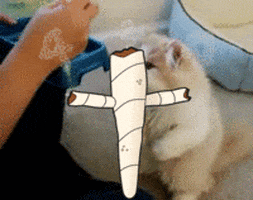 Gif By Gif