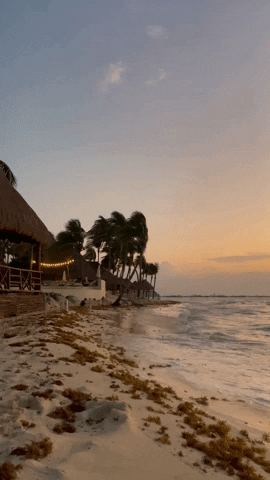 Playa Del Carmen Beach Sunrise GIF by CGTraveler - Carlos Garrido - Adventrgram