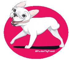 French Bulldog Netflix Sticker by PardonThyFrench