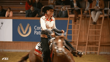 reining round and round GIF by FEI Global
