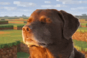 Dog Grass GIF