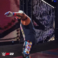 Lets Go Wwe GIF by 2K Games