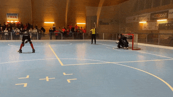 rhcwolfurt GIF