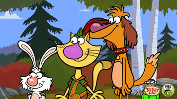 200.gif?cid=fc005b082d91cd2e98f9f3ceb587fc1c33a5bbbf82829e5f&rid=200.gif&ct=g