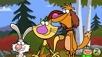 excited nature cat GIF by PBS KIDS