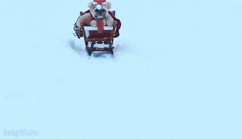 Santa Hat Snow GIF by Rover.com