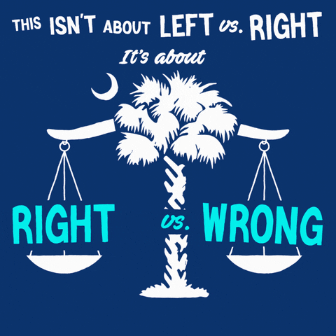 Vote Early Palm Tree GIF by Creative Courage