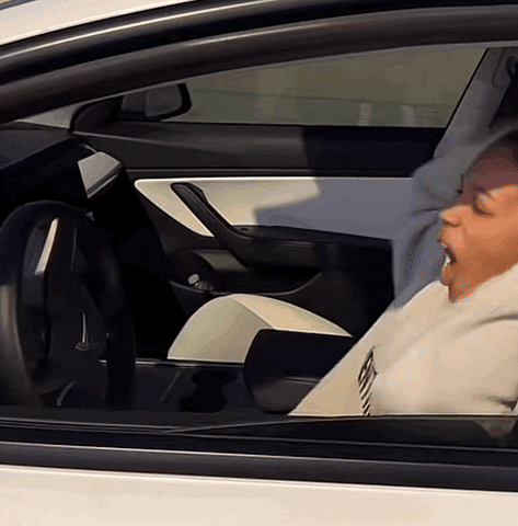 Road Rage Accident GIF by Black Women Love Dogs